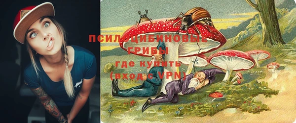 стаф Абаза