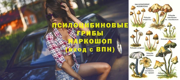jwh Алзамай