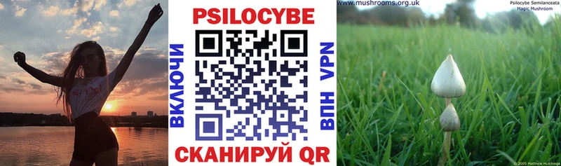Галлюциногенные грибы мицелий  Абаза 